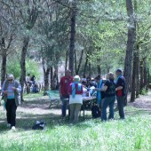 gruppo di Friburgo