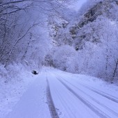 Neve 2015:a